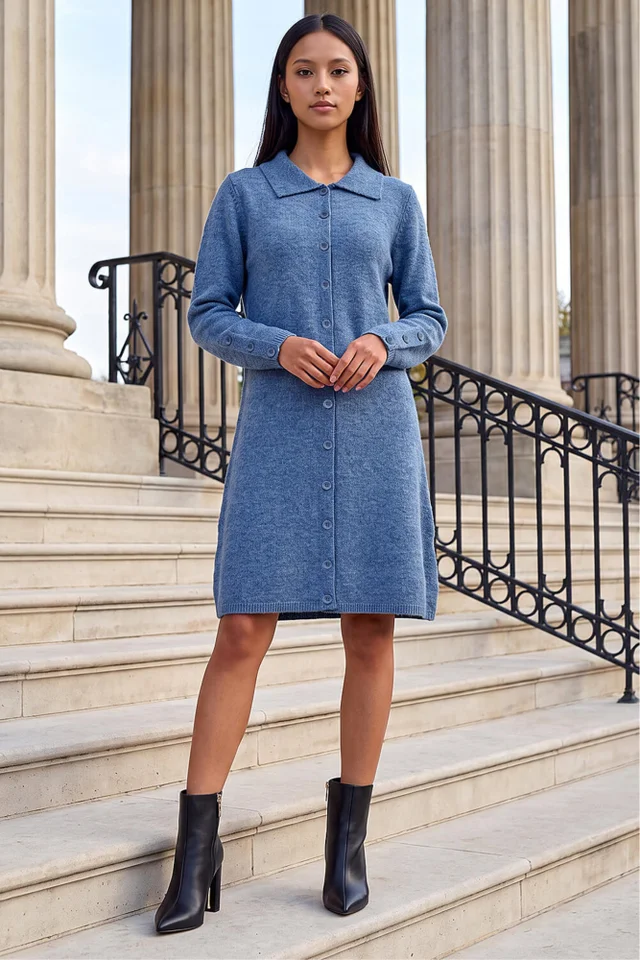 Roman Blue Petite Collared Knit Shift Dress