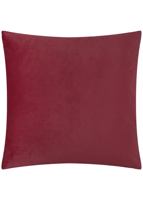 Paoletti Evoke Cut Velvet Burgundy Cushion - 55 x 55cm Image 2