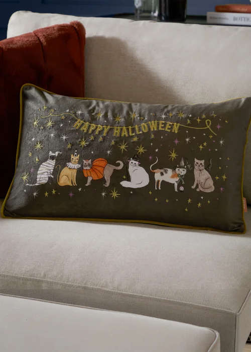 Furn Halloween Pawty Embroidered Velvet Multi Cushion - 30 x 50cm Image 1