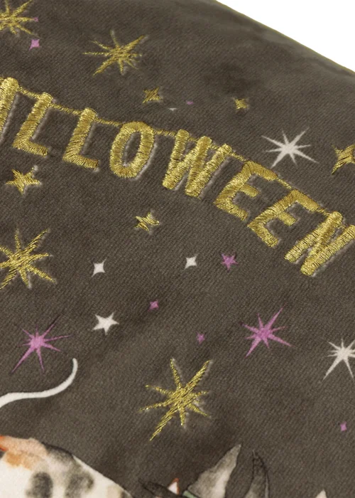 Furn Halloween Pawty Embroidered Velvet Multi Cushion - 30 x 50cm Image 5