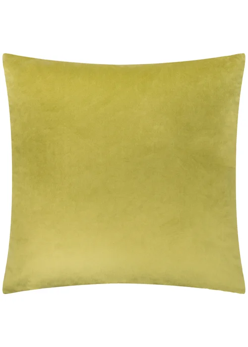 Paoletti Evoke Cut Velvet Olive Cushion - 55 x 55cm Image 2