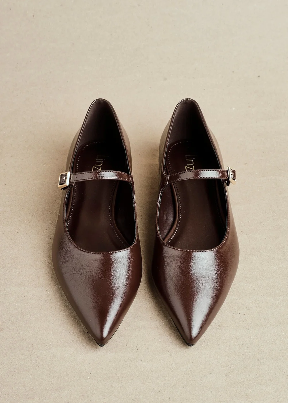 Linzi Seattle Brown Faux Leather Pointed Toe Mary Jane Flats - 3 Image 1
