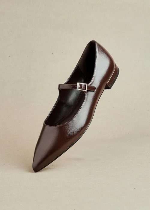 Linzi Seattle Brown Faux Leather Pointed Toe Mary Jane Flats - 3 Image 6