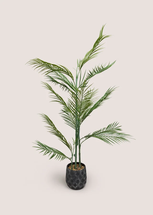 Fern Tree With Pot