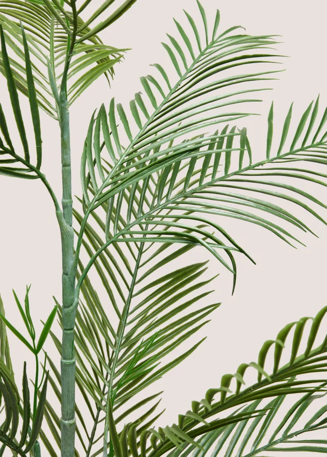 Fern Tree With Pot