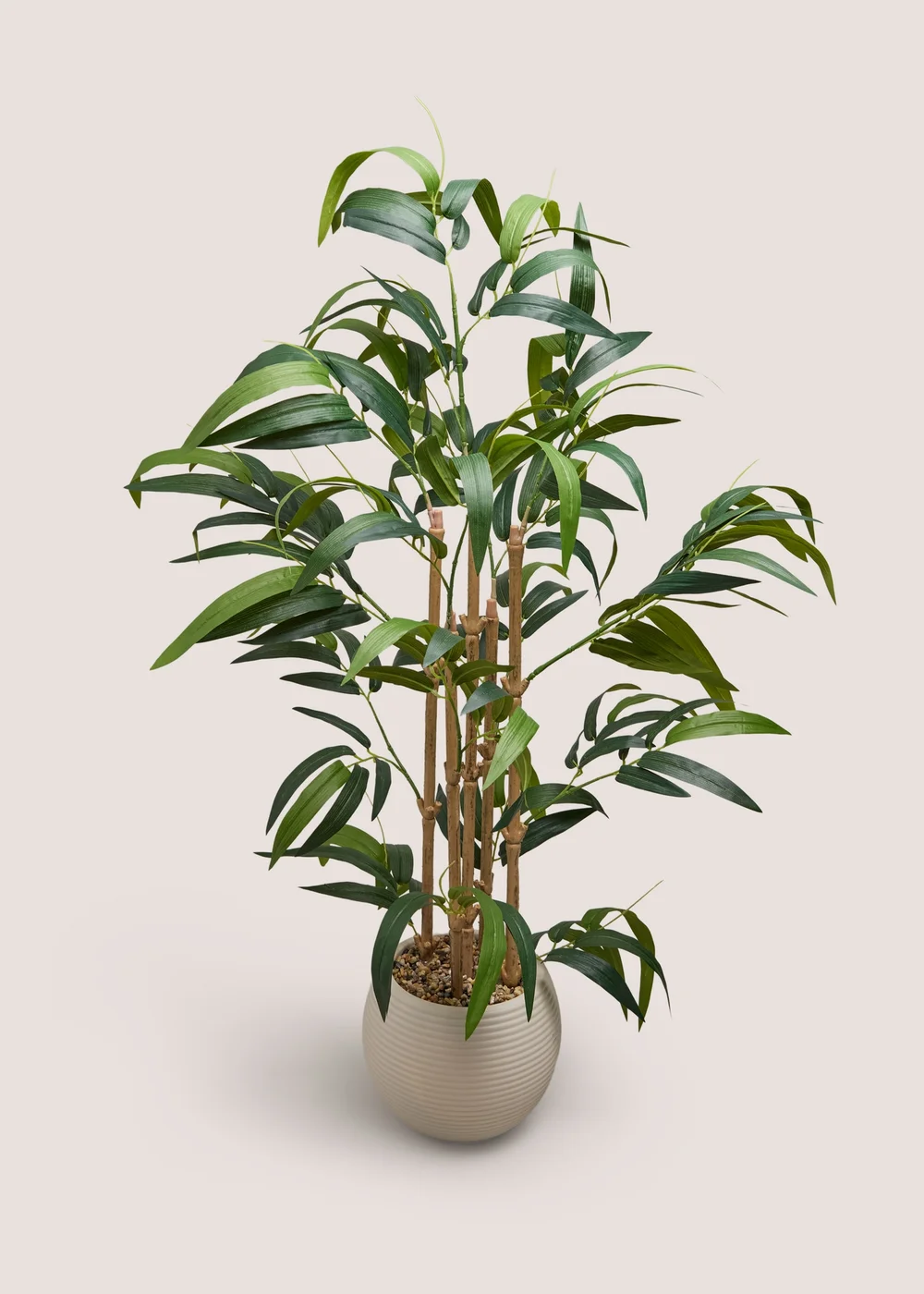 Bamboo Tree With Pot Image 1