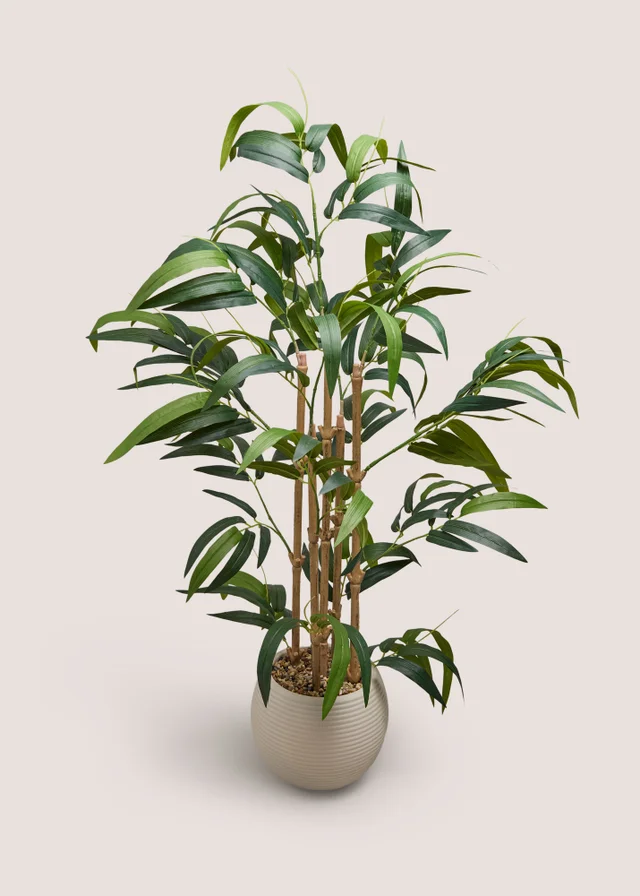 Bamboo Tree With Pot