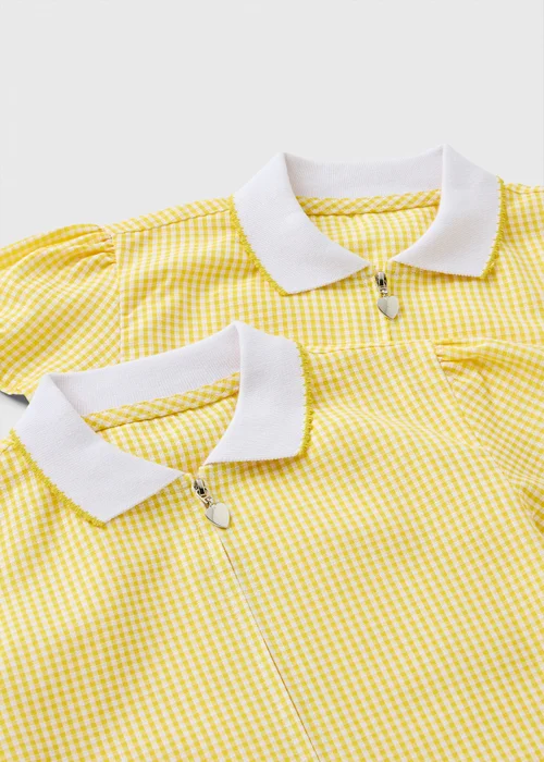 2 Pack Girls Yellow Gingham Knit Collar Plus Fit School Dresses (4-13yrs) - 3 Yrs Image 2