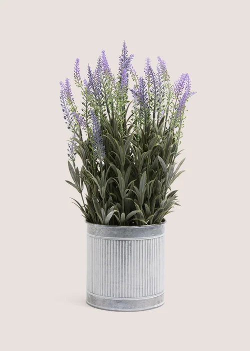 Lavender In Metal Pot Image 1