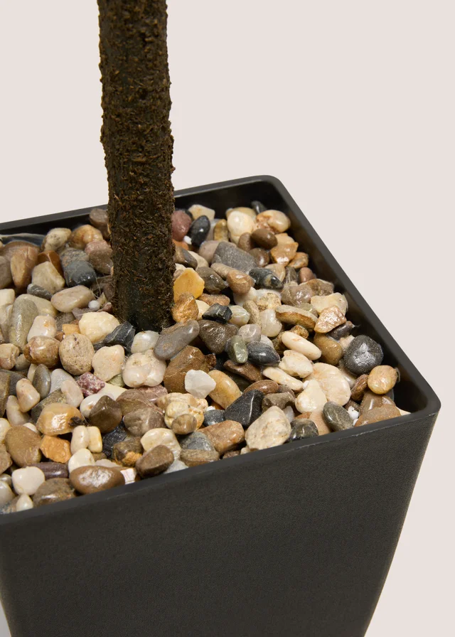 Potted Topiary Tree