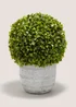 Grey Ball Topiary Image 1