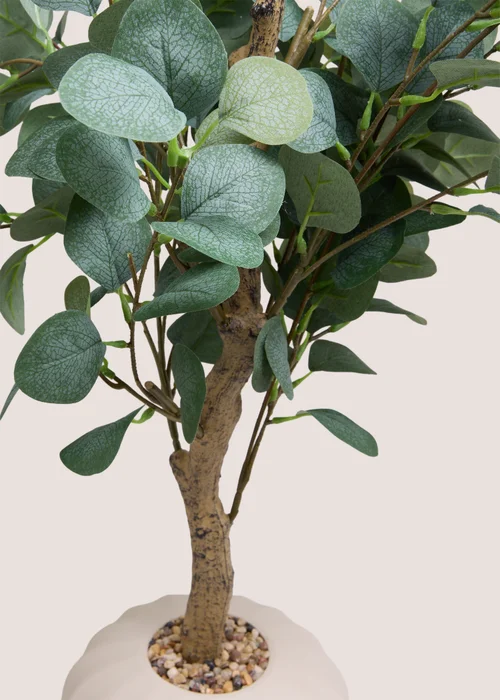 Large Eucalyptus In Cream Ribbed Pot Image 2