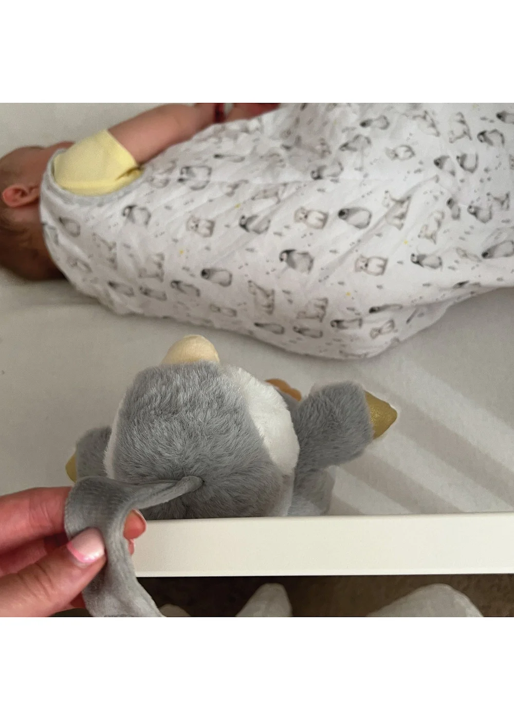 Nuby Light Grey Penguin Cry Sensor Sleep Aid - One Size Image 3