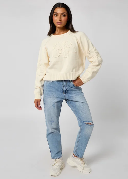 Urban Bliss Crochet Embroidery Raglan Jumper - 10 Image 3