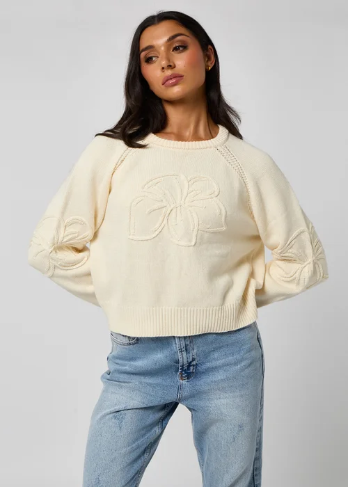Urban Bliss Crochet Embroidery Raglan Jumper - 10 Image 1