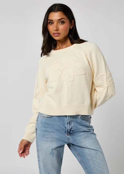 Urban Bliss Crochet Embroidery Raglan Jumper - 10 Image 2