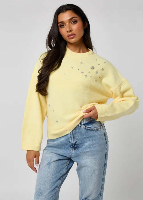 Urban Bliss Embellished Embroidery Jumper - L Image 2