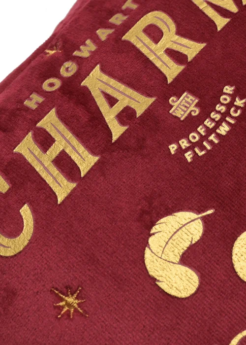 Harry Potter Warner Bros Alumni Red Wash Bag Charms - One Size Image 5