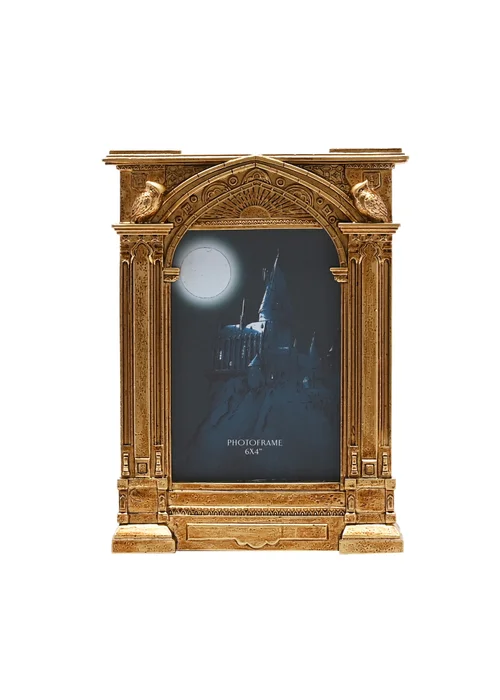 Harry Potter Warner Bros Alumni Gold Photo Frame Hogwarts - One Size Image 1