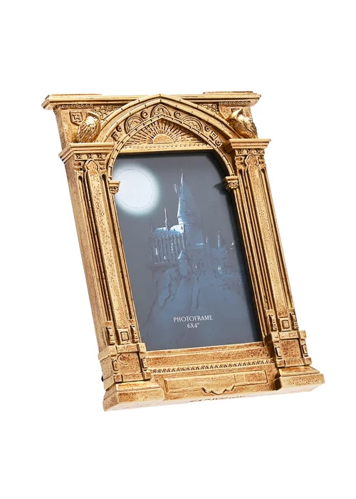 Harry Potter Warner Bros Alumni Gold Photo Frame Hogwarts - One Size Image 2