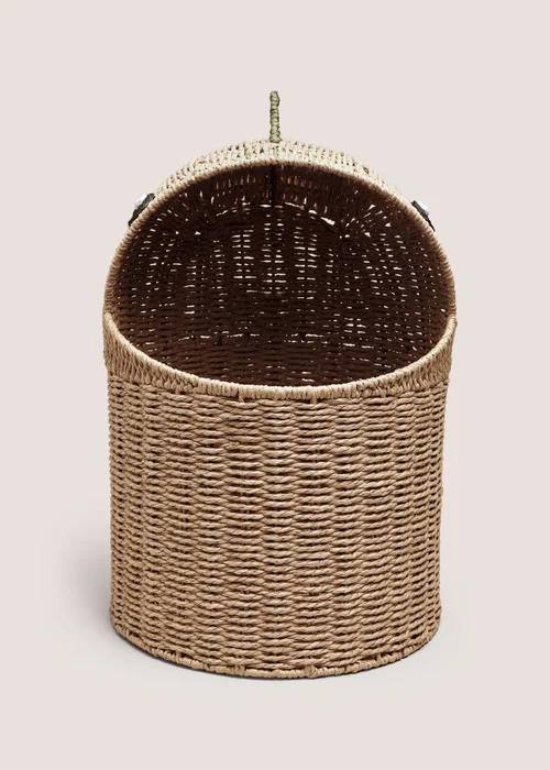 Dino Basket Image 2