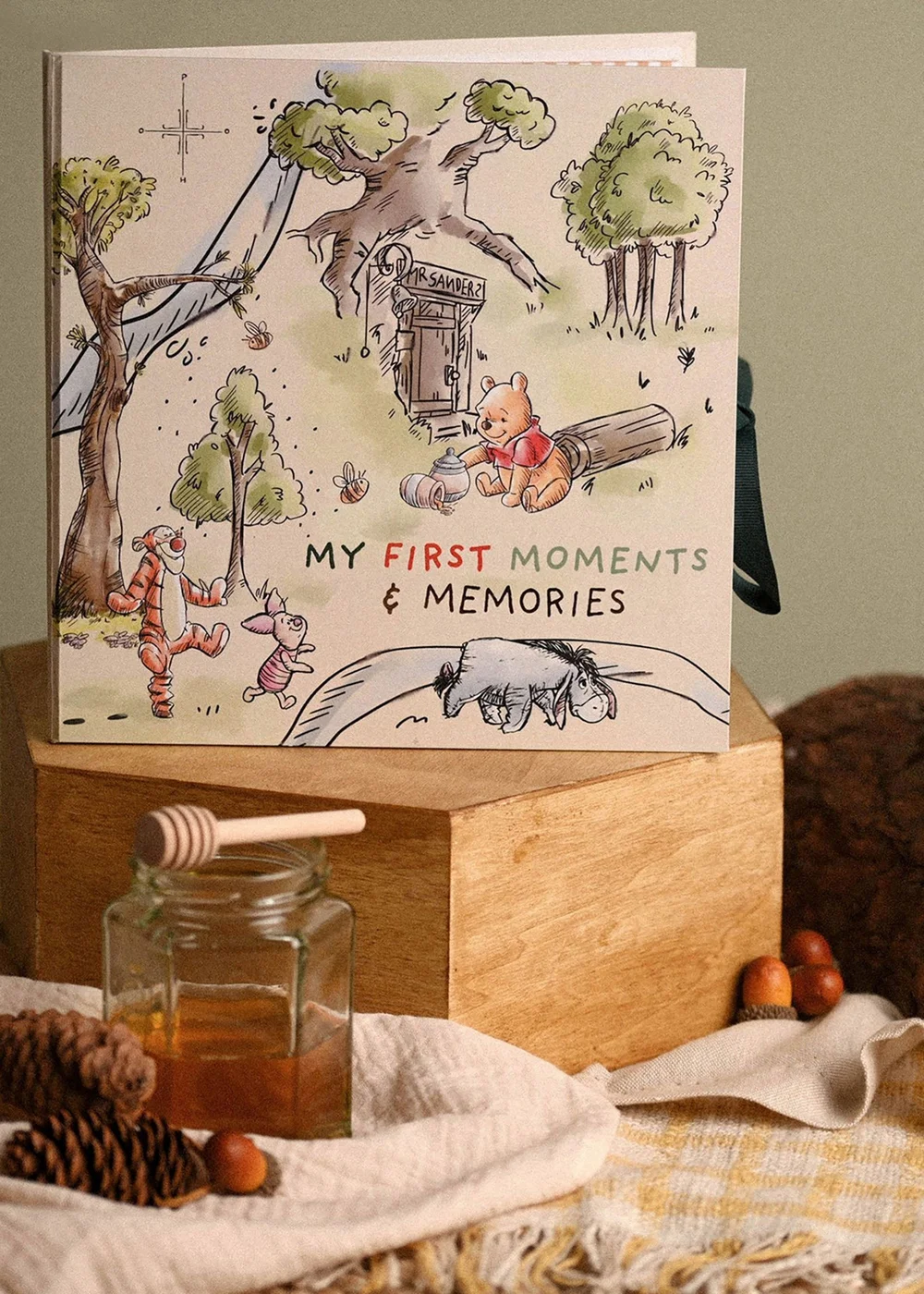 Disney Winnie The Pooh First Year Record Book - One Size Image 1