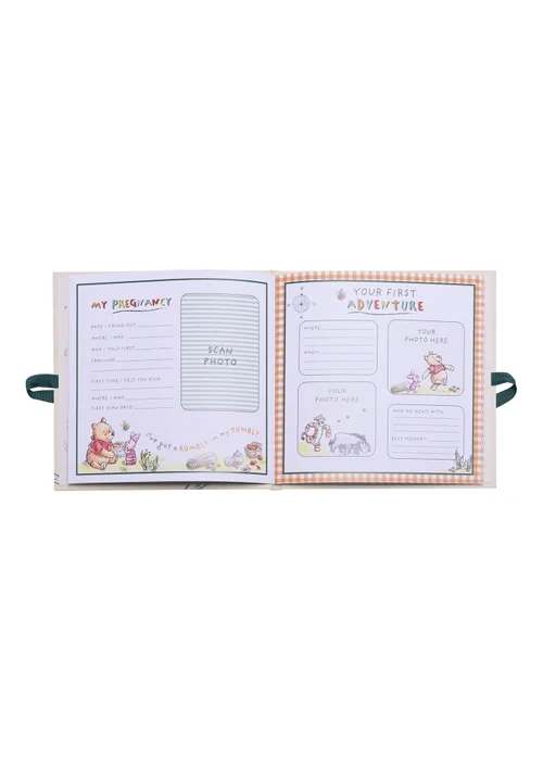 Disney Winnie The Pooh First Year Record Book - One Size Image 3