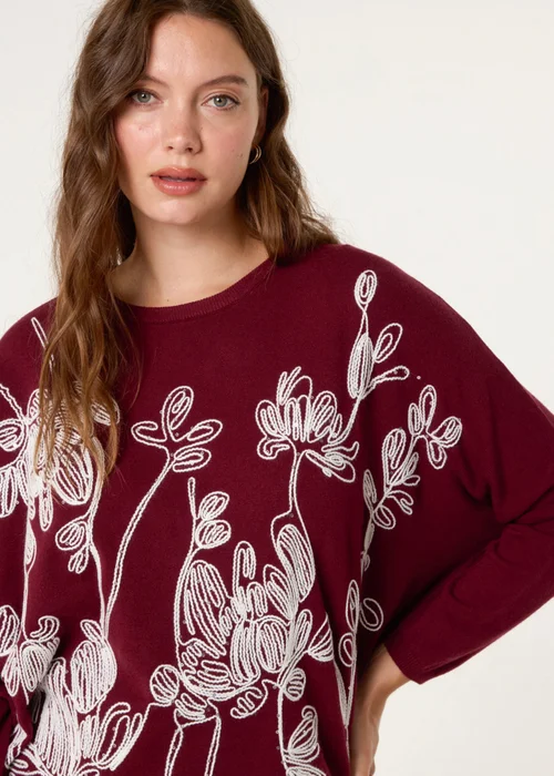 Blue Vanilla Red Embroidered Round Neck Jumper - One Size Image 1