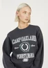Brave Soul Dark Grey Crew Neck Graphic Print Sweatshirt - L Image 3