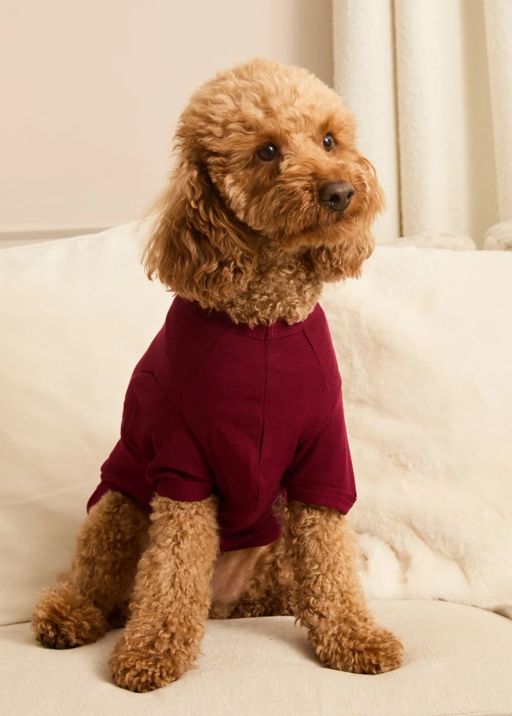 Pyjamily Rich Burgundy Midnight Jewel Pet One-Piece Matching Pyjamas - XS Image 2