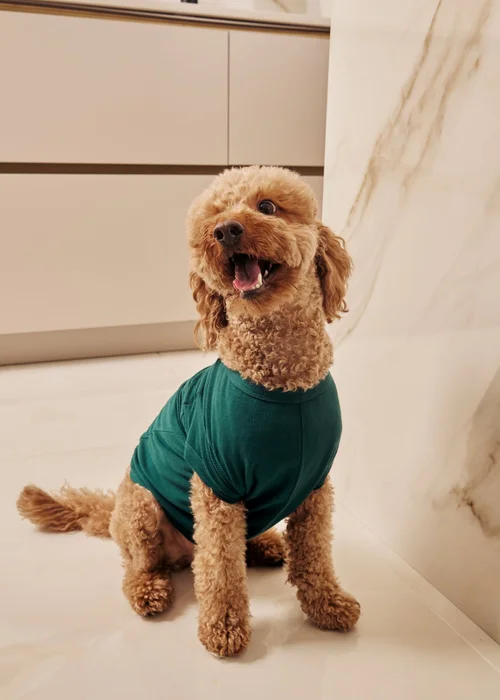 Pyjamily Emerald Green Midnight Jewel Pet One-Piece Matching Pyjamas - XS Image 2