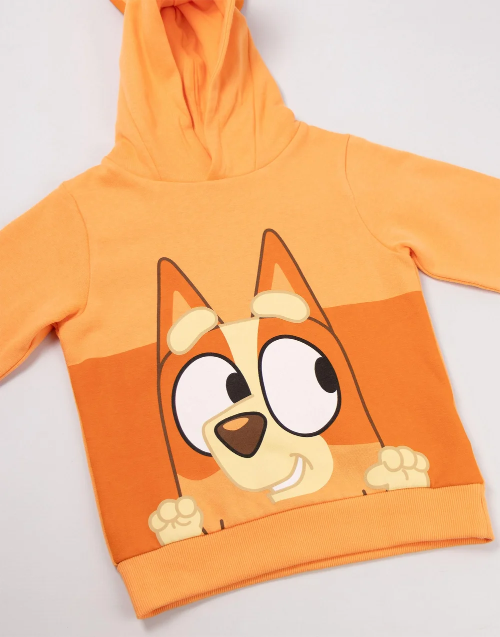 Vanilla Underground Bluey Unisex Kids Brown Bingo Hoodie (18 mnths - 7 years) - 18-24 months Image 3