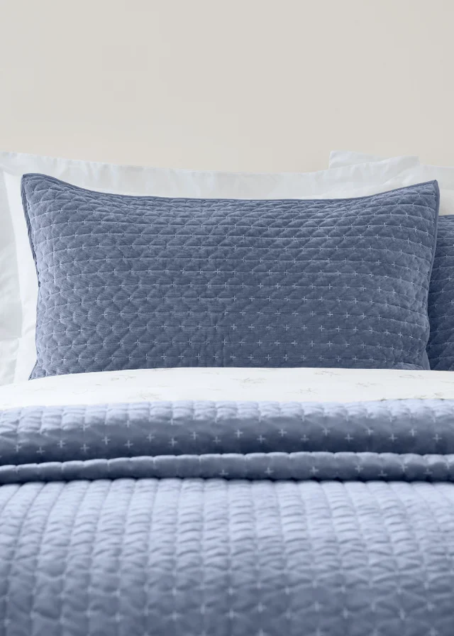 Bianca Fine Linens Attica Velvet Embroidered Pillow sham Pair Blue