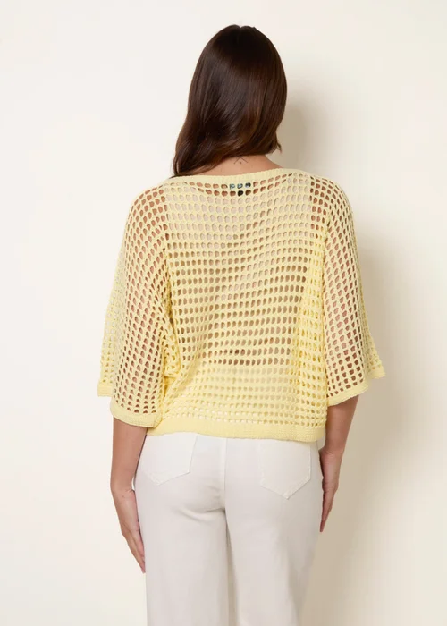 Blue Vanilla Yellow Round Neck Net Top - S/M Image 4