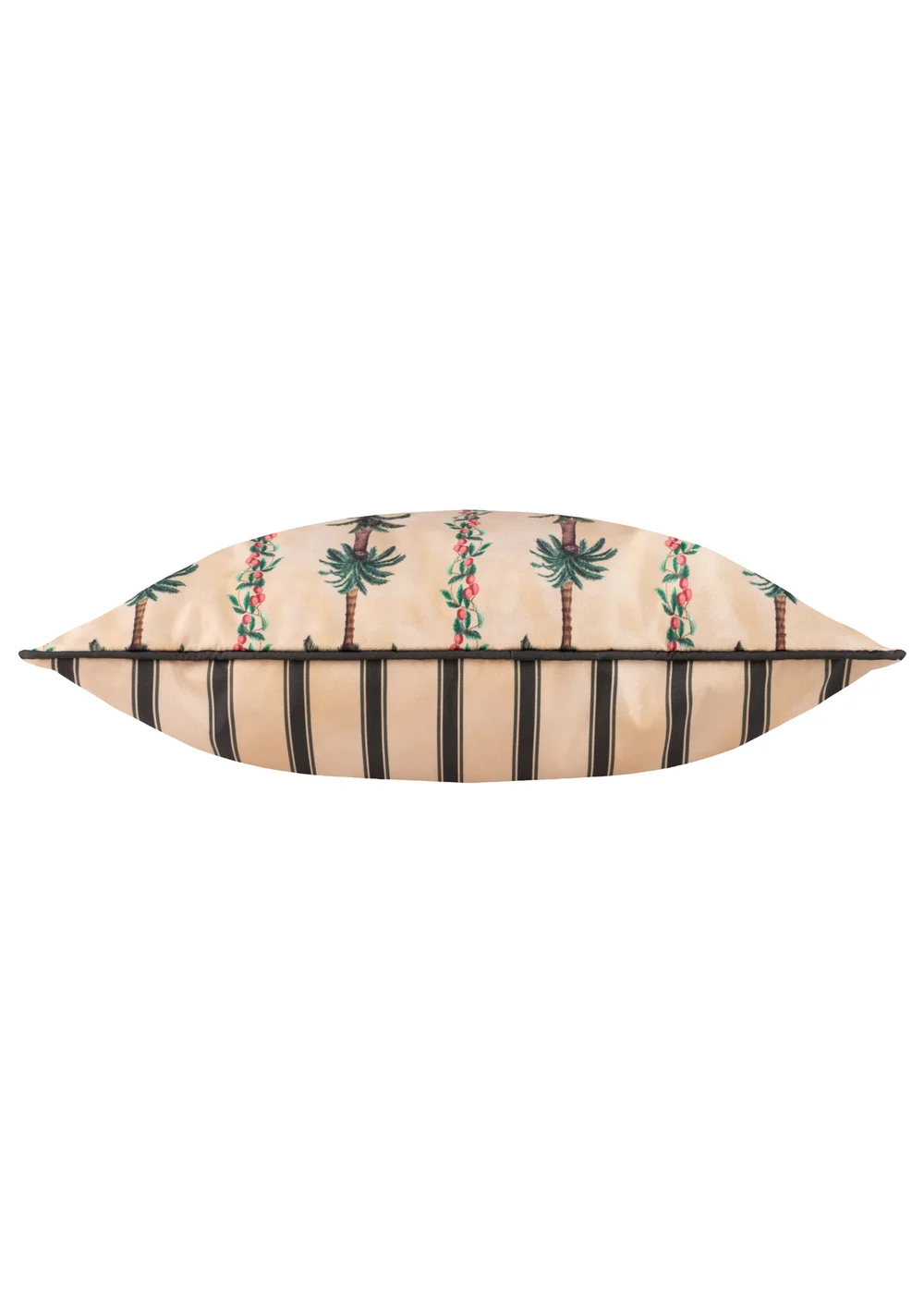 Wylder Monkey Palm Papyrus Stripe Outdoor Cushion (45 x 45cm) - 45cm x 45cm Image 3
