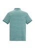 Regatta Arctic Tiver Polo Shirt - 4XL Image 6