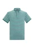 Regatta Arctic Tiver Polo Shirt - 4XL Image 5