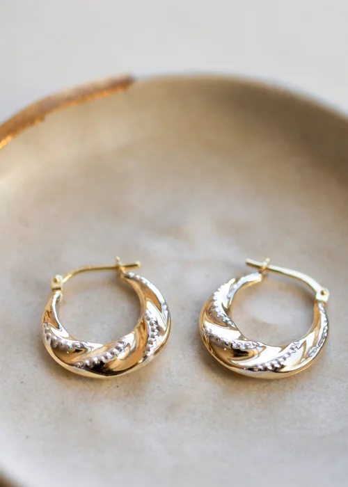 Golden Moments Sterling Silver 9ct Gold Bonded 2 Colour Twisted Creole Earring - One Size Image 2