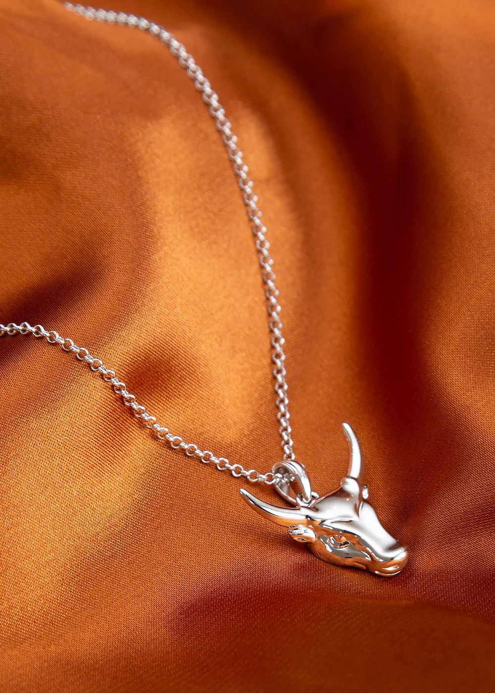 Golden Moments Sterling Silver Rhodium Plated Small Steer Head Pendant on Chain - One Size Image 3