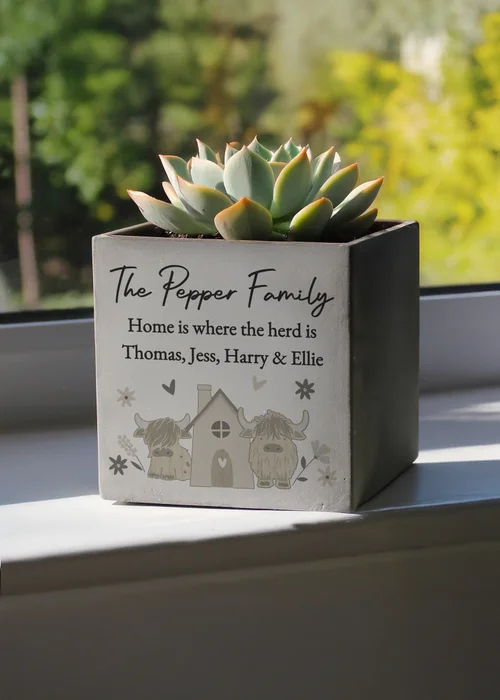 Personalised Memento Company Highland Cow Concrete Plant Pot Grey - One Size Image 1