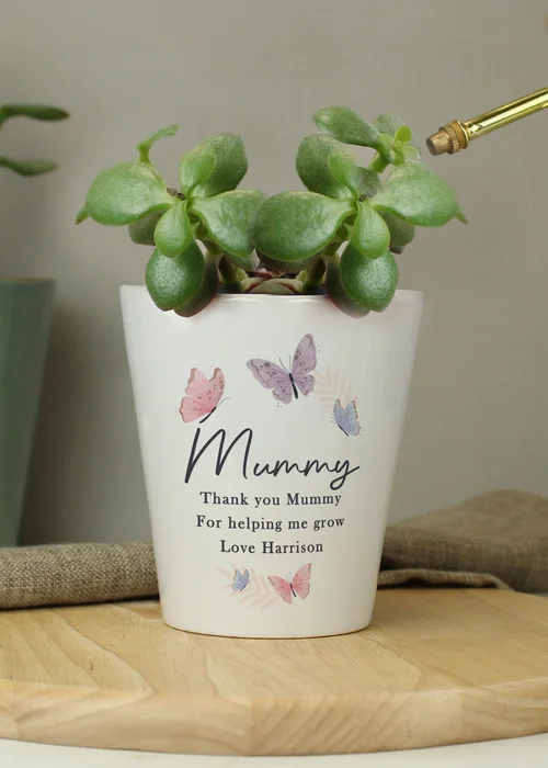 Personalised Memento Company Butterfly Plant Pot Multi - One Size Image 3