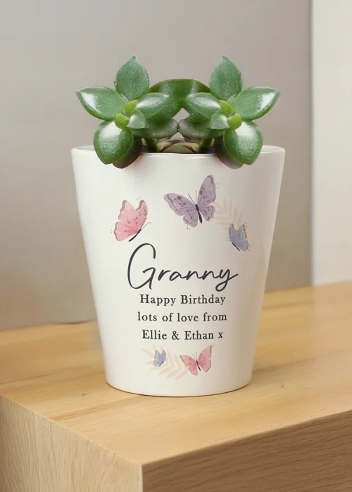Personalised Memento Company Butterfly Plant Pot Multi - One Size Image 1