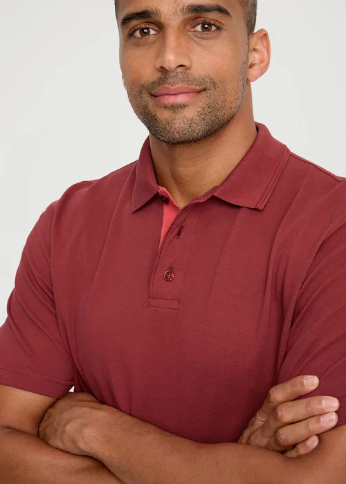 Cotton Traders Sienna Short Sleeve Polo Shirt - 2XL Image 4