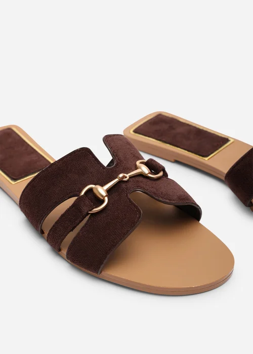 Where's That From Dorina Embellished Wide Fit Dark Brown Suede Slide On Sandals - 4 Image 3