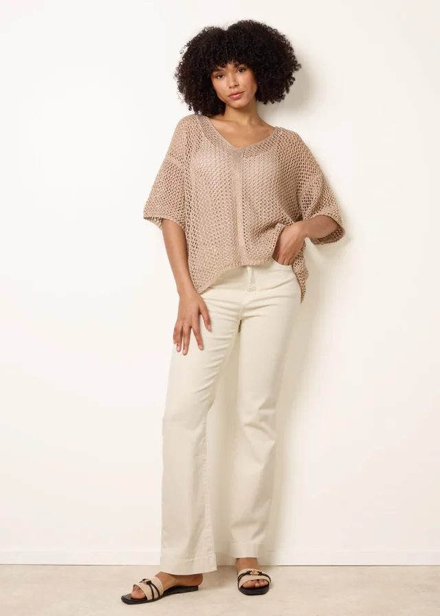 Blue Vanilla Gold Mesh Knitted Top With Short Sleeves