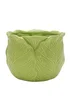 The Cottage Garden Green Planter Small Cabbage - S Image 1
