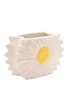 The Cottage Garden White & Yellow Vase Daisy - One Size Image 2