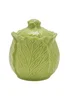 The Cottage Garden Green Sugar Bowl Cabbage - One Size Image 1