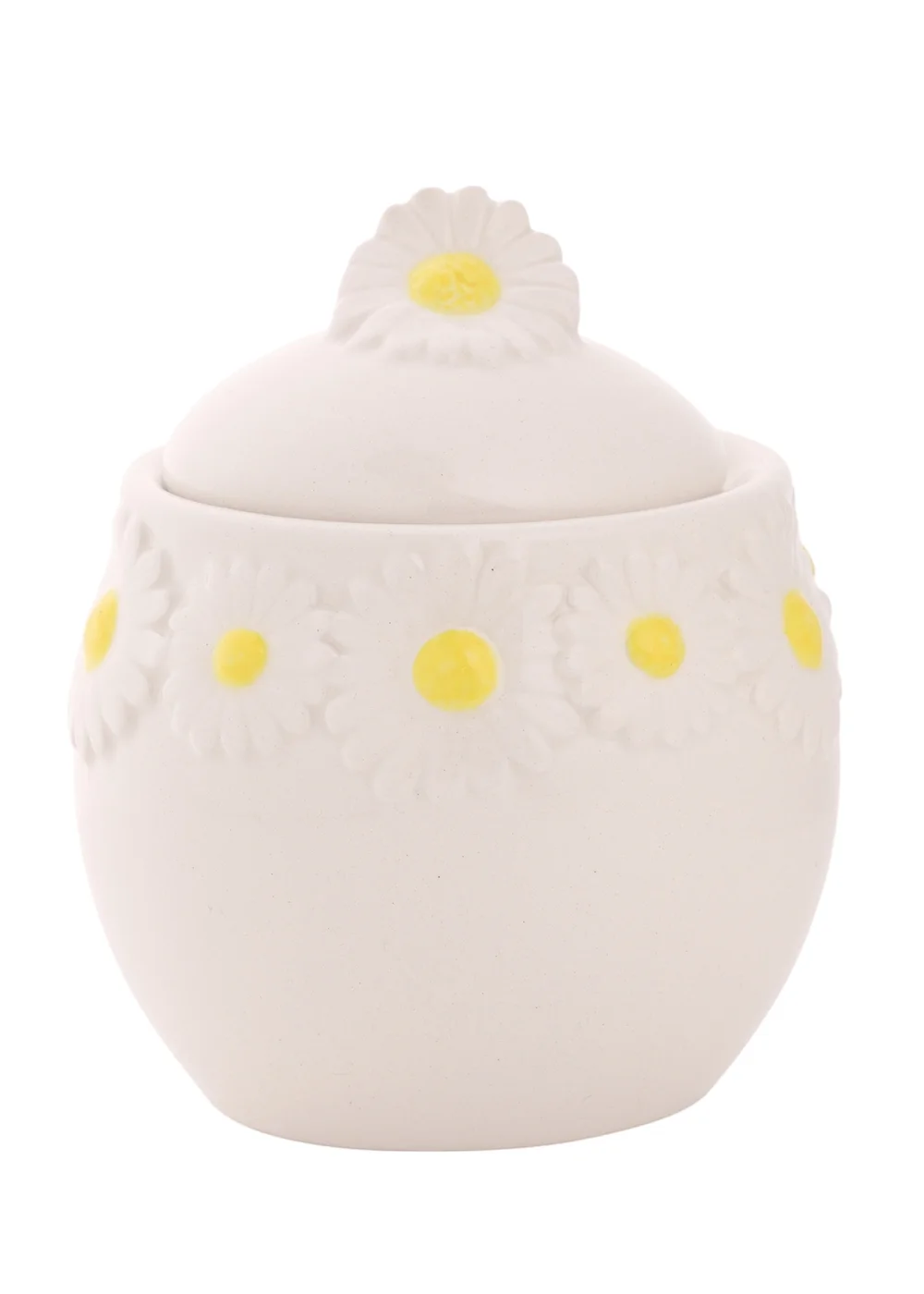 The Cottage Garden White Sugar Bowl Daisy - One Size Image 1