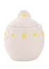 The Cottage Garden White Sugar Bowl Daisy - One Size Image 1